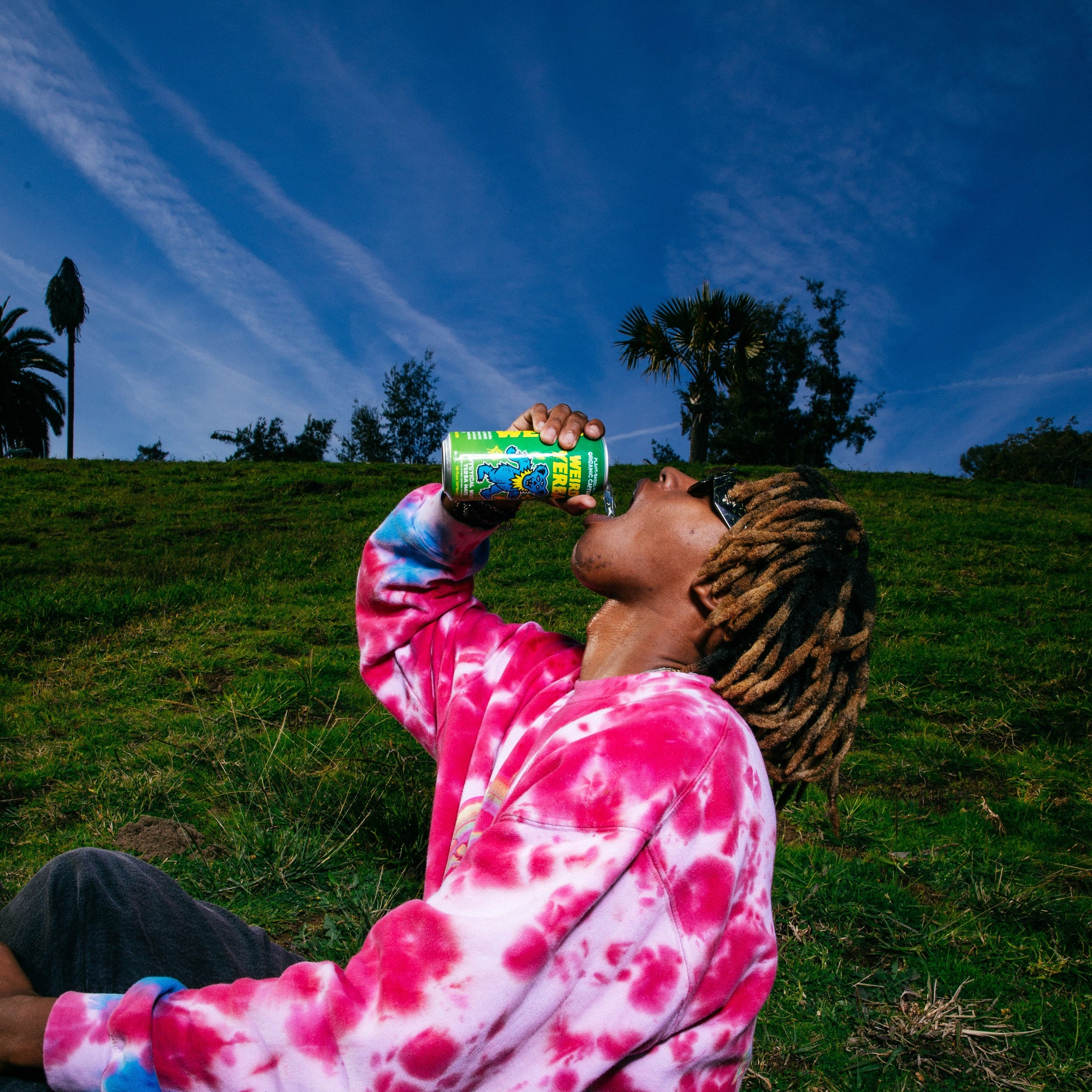 yerba mate vs coffee